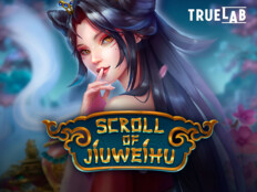 Sumertur. Go wild casino no deposit bonus.87